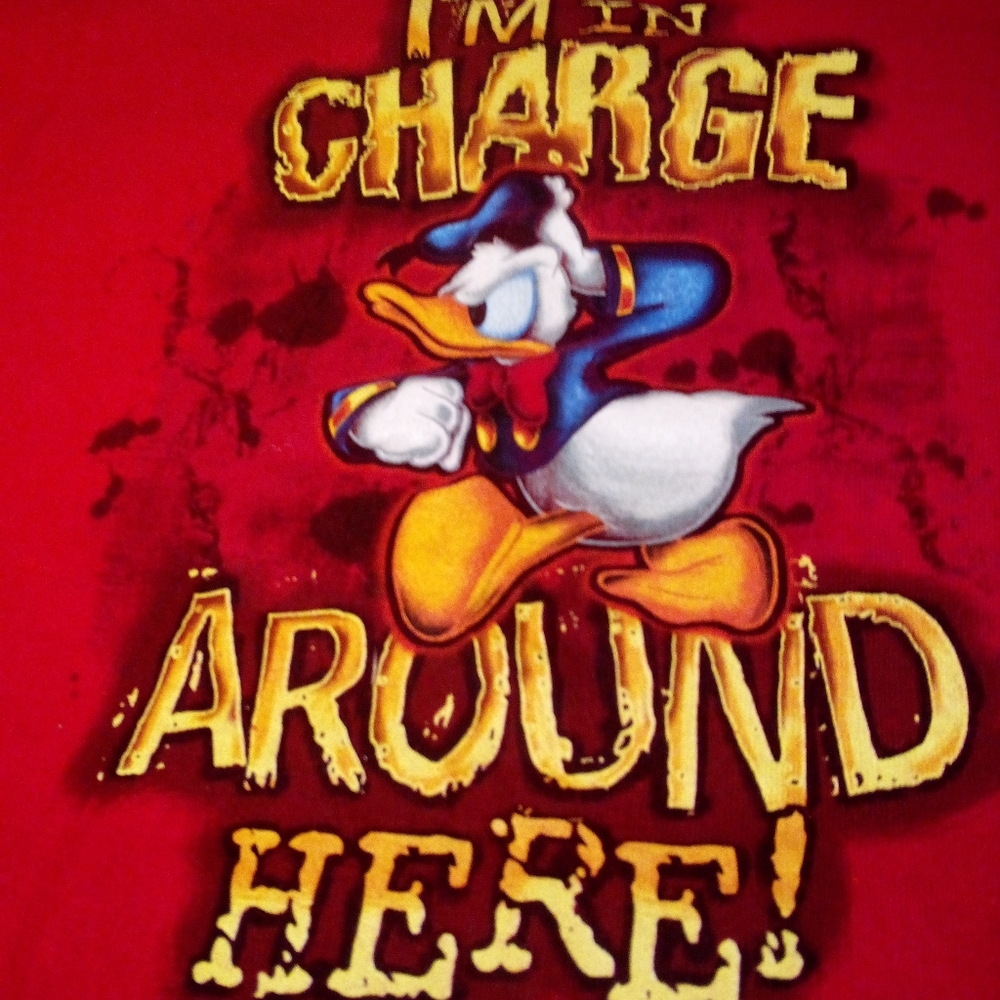 Disney store, Donald, boys medium , red tee shirt